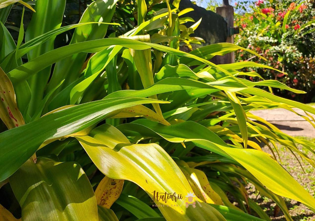 Villa Hutiarii House & Car & Excursions Raiatea Tevaitoa Esterno foto